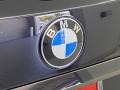 BMW X7 xDrive40i Black Sapphire Metallic photo #7