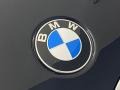 BMW X4 xDrive30i Carbon Black Metallic photo #5