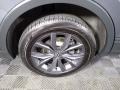 Volkswagen Tiguan SE 4Motion Platinum Gray Metallic photo #32
