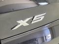 BMW X5 xDrive40i Black Sapphire Metallic photo #8