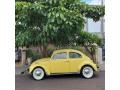 Volkswagen Beetle Coupe Texas Yellow photo #3
