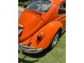 Volkswagen Beetle Coupe Orange photo #13