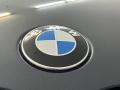 BMW X7 xDrive40i Arctic Gray Metallic photo #6