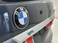 BMW X7 xDrive40i Arctic Gray Metallic photo #14
