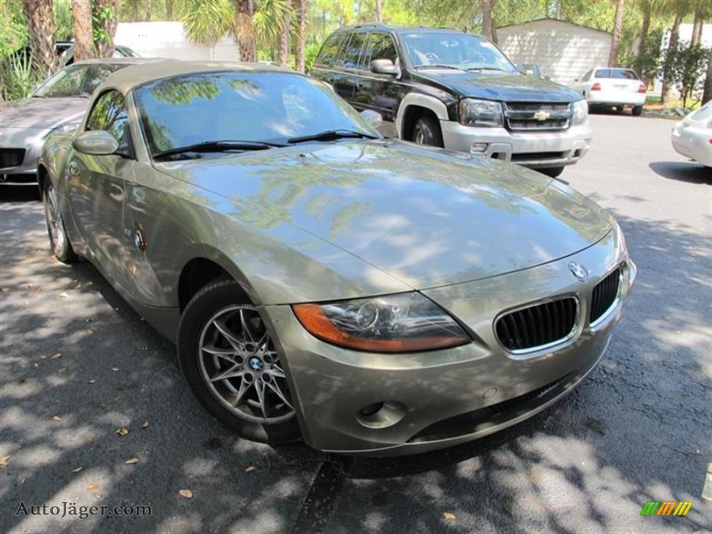 Bmw z4 olivine #2