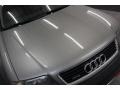 Audi Allroad 2.7T quattro Light Silver Metallic photo #40
